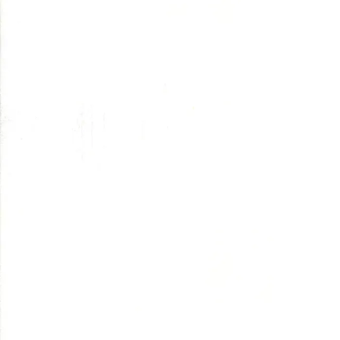 Grunge White Paper